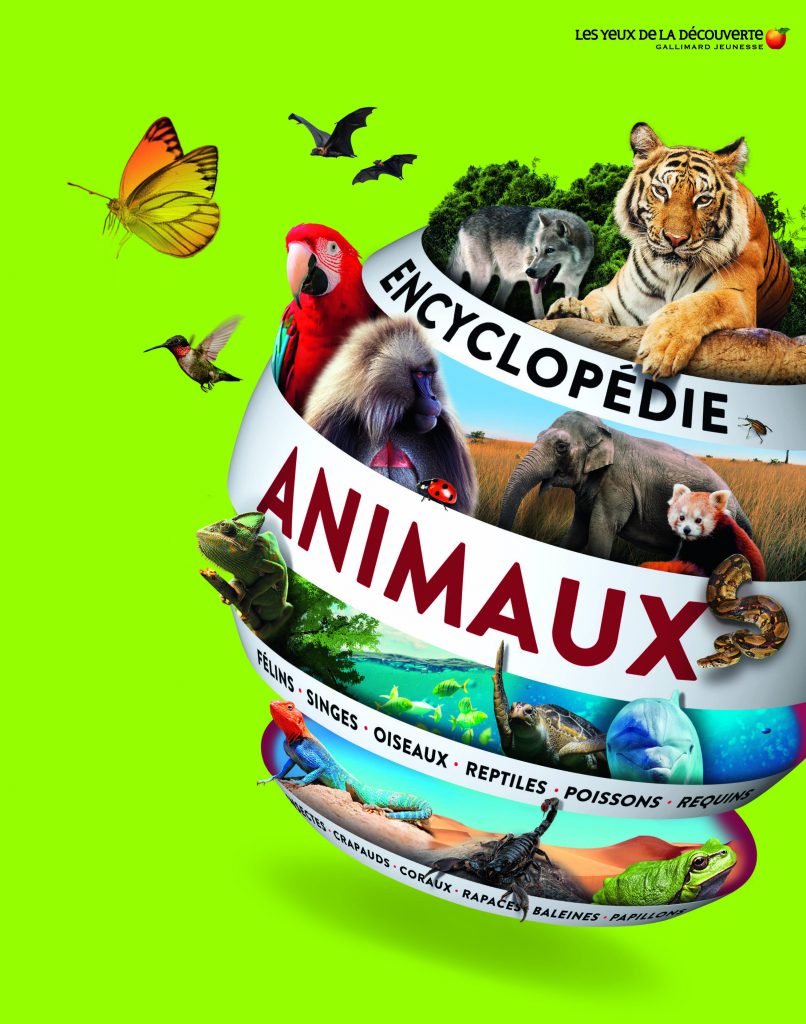 Couverture Encyclopédie des animaux
Collectif
19,95 €, éditions Gallimard jeunesse, 2017