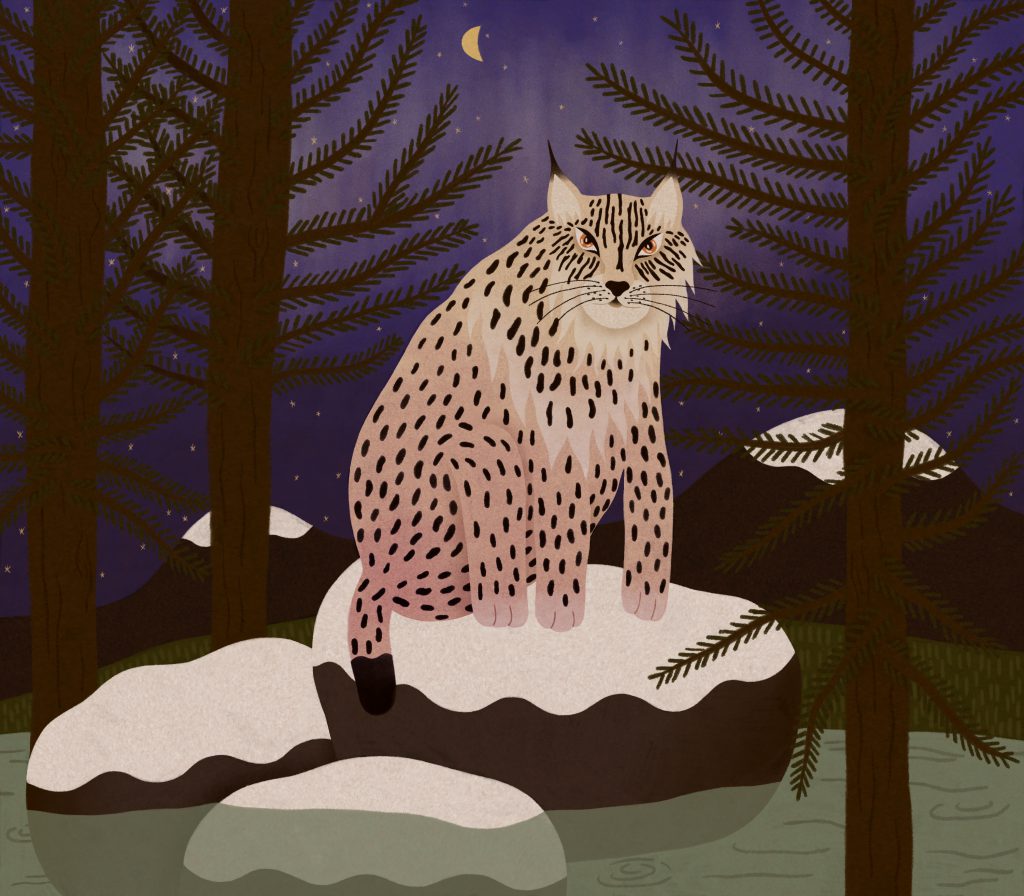 La protection animale, « Le lynx », défi d‘écriture sur Plume